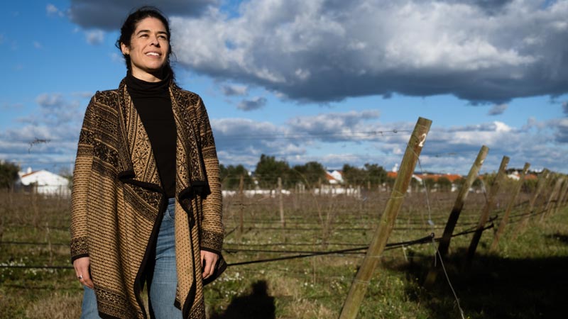 Madalena Vidigal na vinha, em Évora
